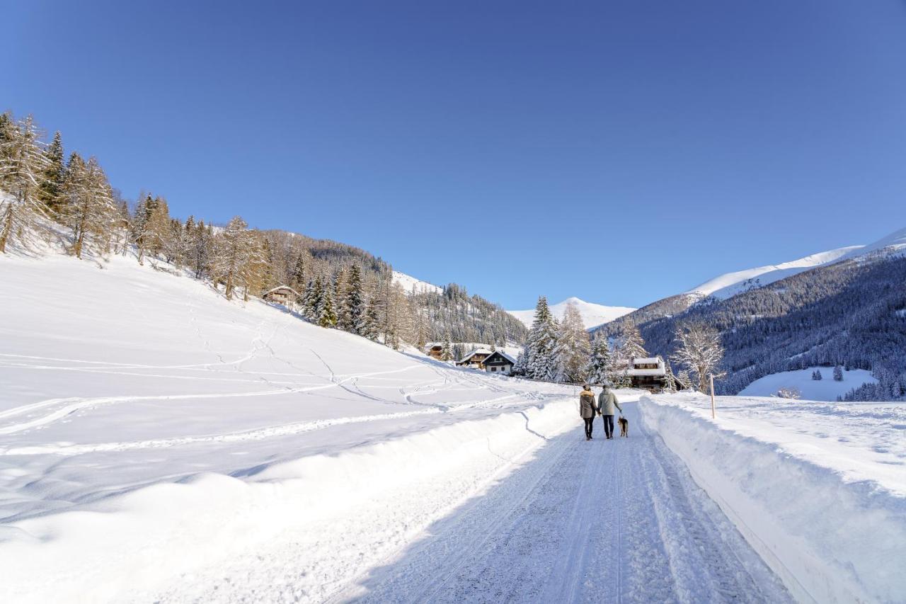 Heimeliges Apartment In Den Bergen Bad Kleinkirchheim Zewnętrze zdjęcie